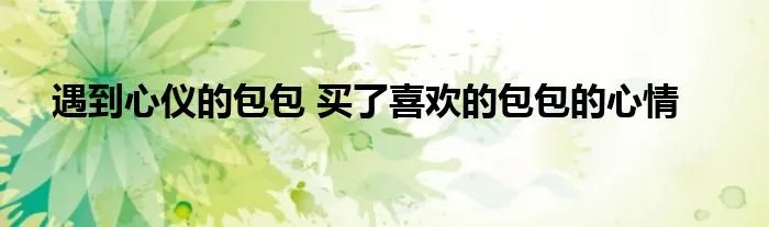 遇到心仪的包包 买了喜欢的包包的心情