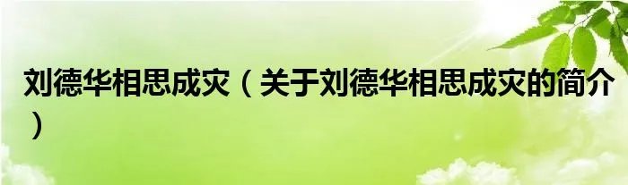 刘德华相思成灾（关于刘德华相思成灾的简介）