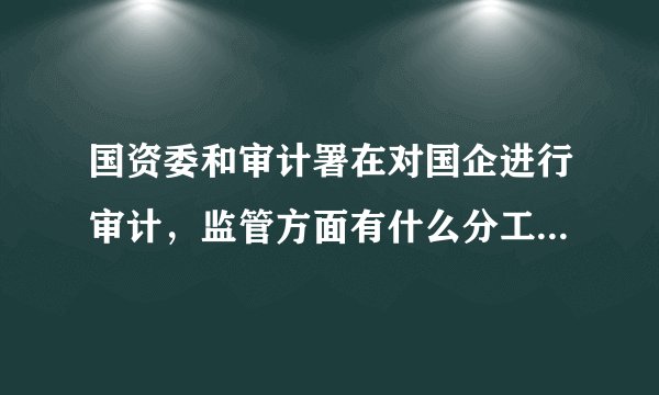 国资委和审计署在对国企进行审计，监管方面有什么分工和联系？