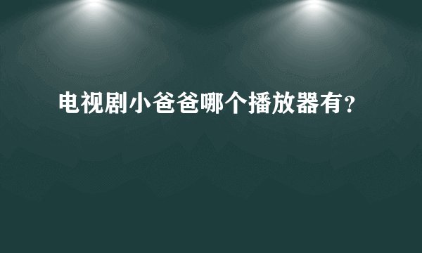 电视剧小爸爸哪个播放器有？
