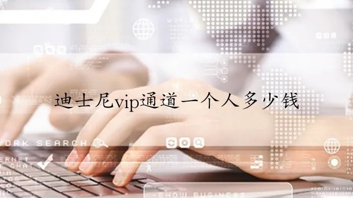 迪士尼vip通道一个人多少钱