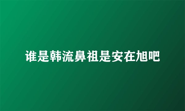 谁是韩流鼻祖是安在旭吧