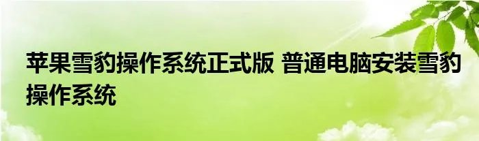 苹果雪豹操作系统正式版 普通电脑安装雪豹操作系统