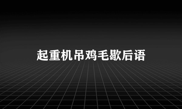 起重机吊鸡毛歇后语