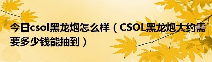今日csol黑龙炮怎么样(CSOL黑龙炮大约需要多少钱能抽到)
