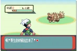 口袋妖怪红宝石详细图文攻略