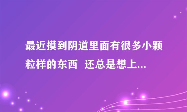 最近摸到阴道里面有很多小颗粒样的东西  还总是想上厕所是咋回