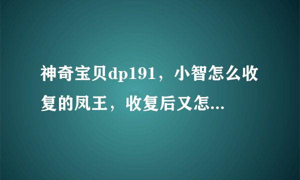 神奇宝贝dp191，小智怎么收复的凤王，收复后又怎么处理了