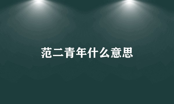 范二青年什么意思