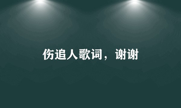 伤追人歌词，谢谢
