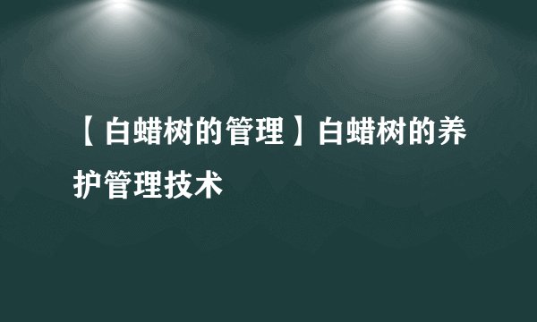 【白蜡树的管理】白蜡树的养护管理技术