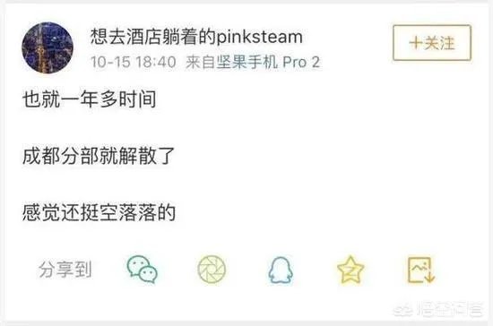 如何看待成立一年的锤子科技成都分公司解散?
