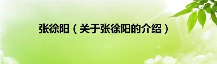 张徐阳（关于张徐阳的介绍）
