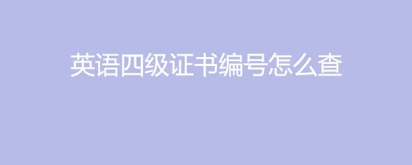 英语四级证书编号怎么查