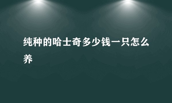 纯种的哈士奇多少钱一只怎么养