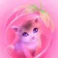 醋精哪里有卖？