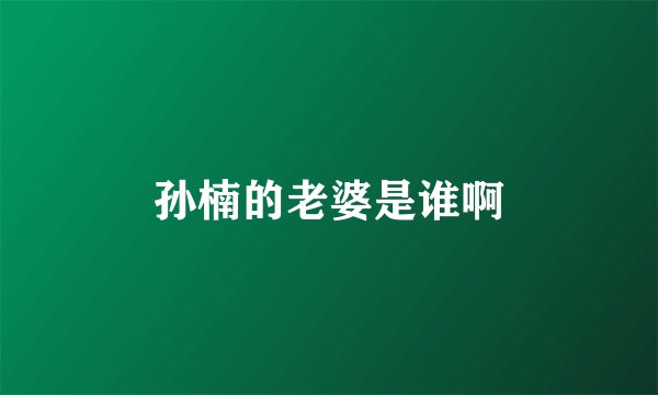 孙楠的老婆是谁啊