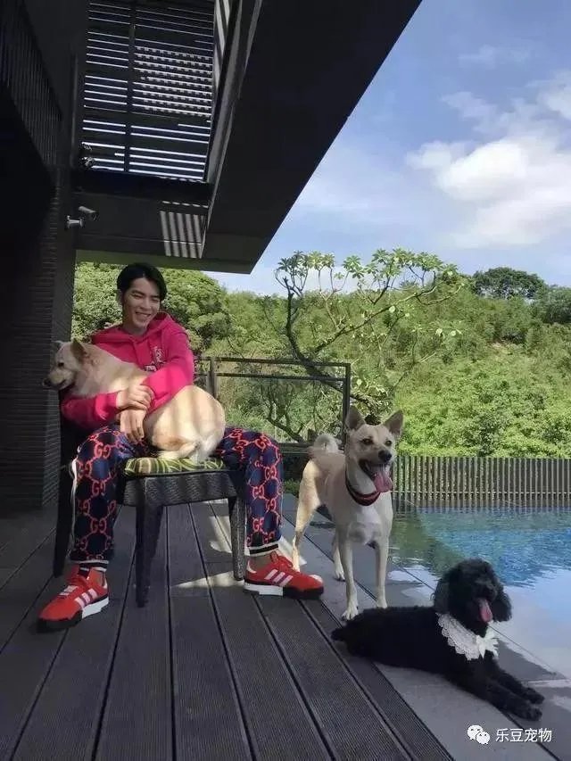 杨晓芸骗捐