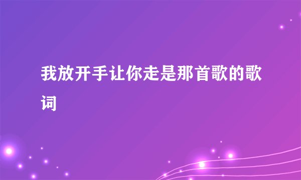 我放开手让你走是那首歌的歌词