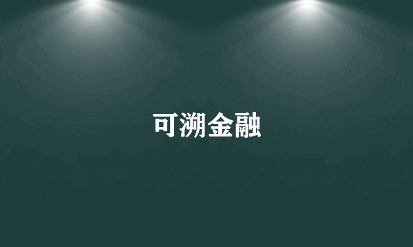 可溯金融
