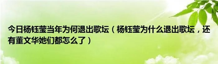 今日杨钰莹当年为何退出歌坛（杨钰莹为什么退出歌坛，还有董文华她们都怎么了）