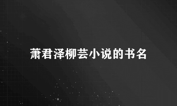 萧君泽柳芸小说的书名
