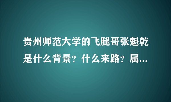 贵州师范大学的飞腿哥张魁乾是什么背景？什么来路？属于哪一派的？