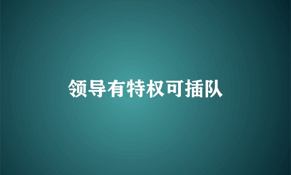领导有特权可插队