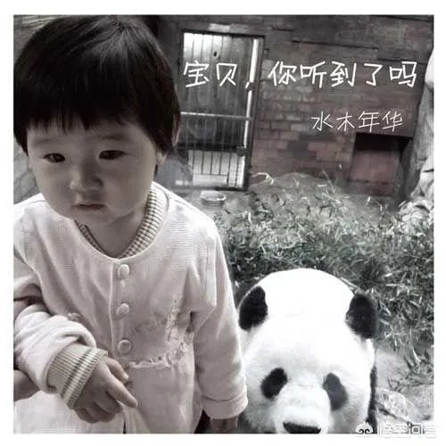 水木年华有哪些好听的歌可以推荐?