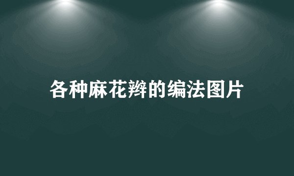 各种麻花辫的编法图片