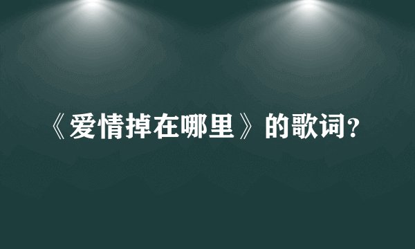 《爱情掉在哪里》的歌词？