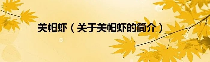 美帽虾（关于美帽虾的简介）