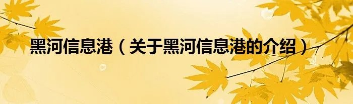黑河信息港（关于黑河信息港的介绍）