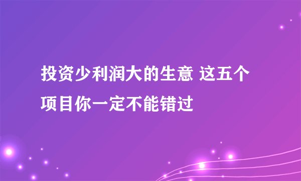 投资少利润大的生意 这五个项目你一定不能错过