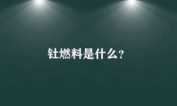 钍燃料是什么?