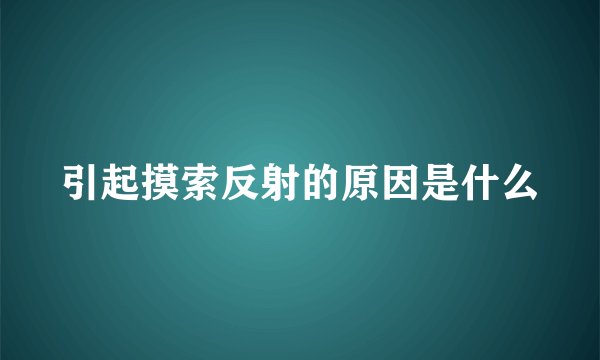 引起摸索反射的原因是什么