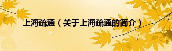 上海疏通（关于上海疏通的简介）