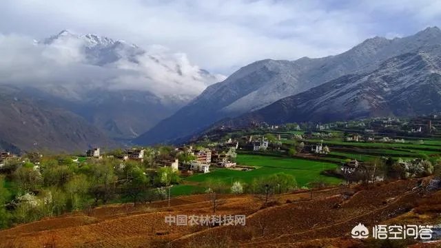 甘孜州丹巴县的特产是什么```?