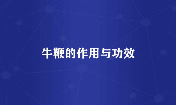 牛鞭的作用与功效