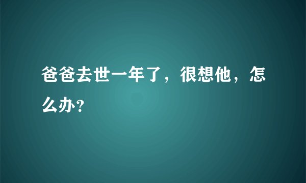 爸爸去世一年了，很想他，怎么办？