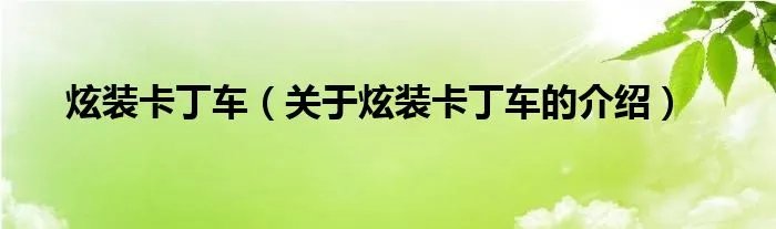 炫装卡丁车（关于炫装卡丁车的介绍）