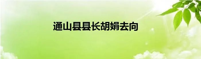 通山县县长胡娟去向