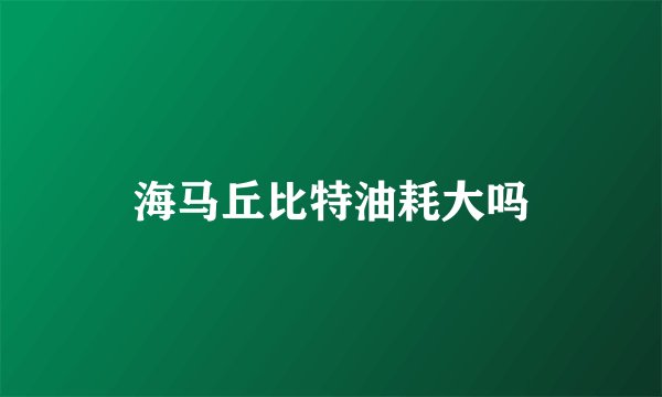 海马丘比特油耗大吗