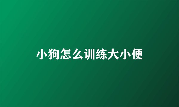 小狗怎么训练大小便