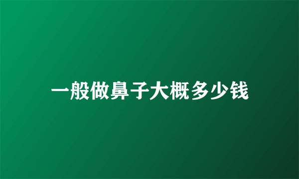 一般做鼻子大概多少钱