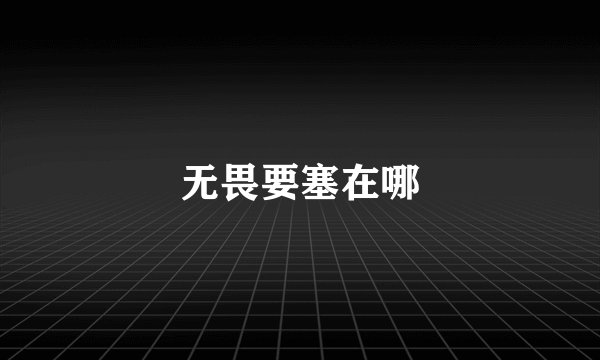 无畏要塞在哪