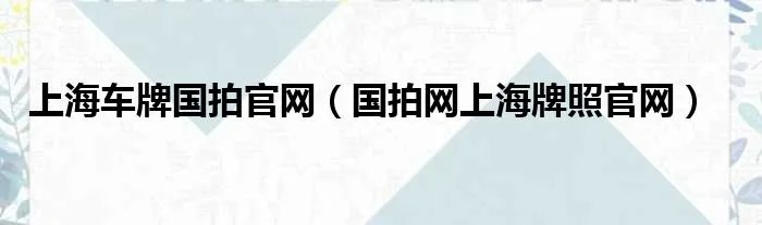 上海车牌国拍官网（国拍网上海牌照官网）