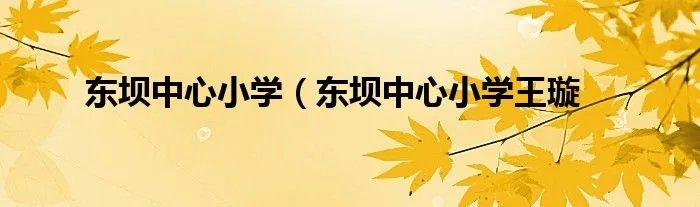 东坝中心小学(东坝中心小学王璇