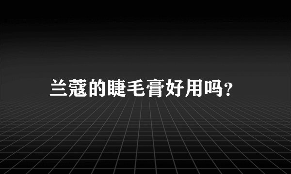 兰蔻的睫毛膏好用吗？