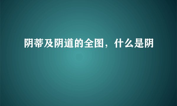 阴蒂及阴道的全图，什么是阴